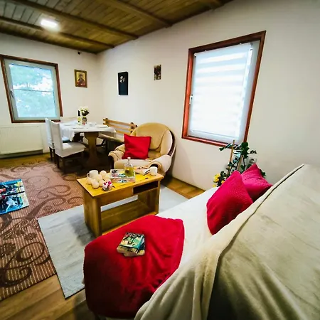 Διαμέρισμα Andrica Sokak