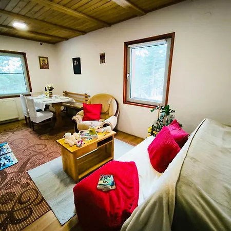 Διαμέρισμα Andrica Sokak *