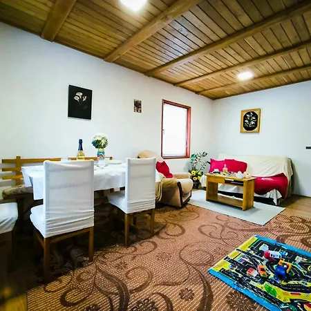 Διαμέρισμα Andrica Sokak